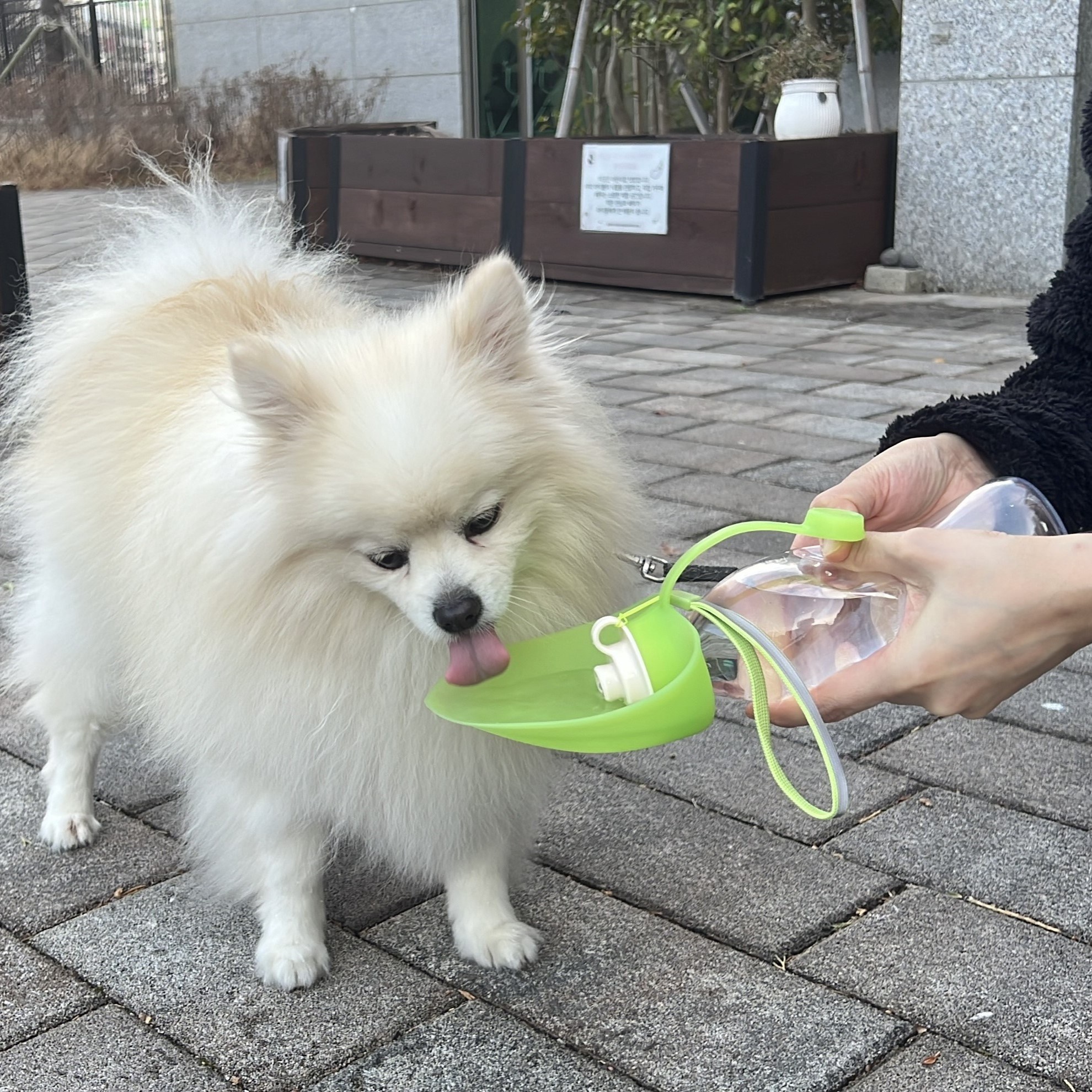 뉴에이지 댕댕이 휴대용 잎모양 물통 산책용 실리콘 접이식 보틀, 1개, 그린 21,100원