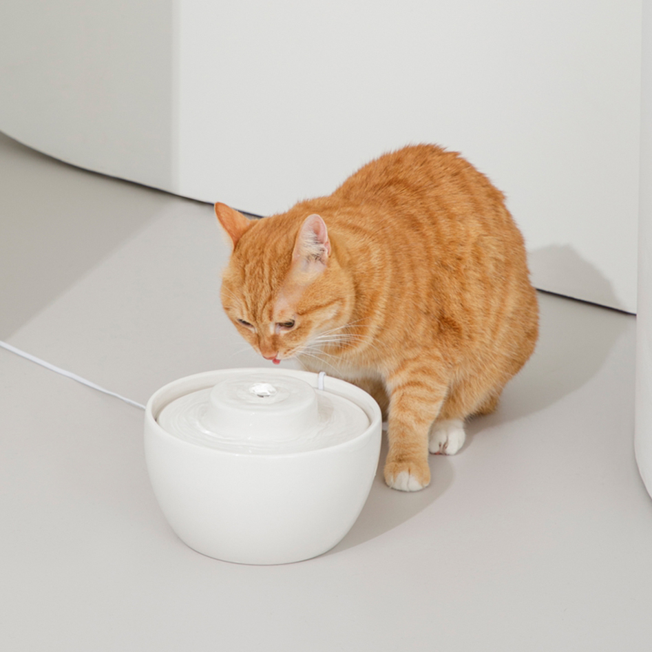 DUIT 웨이브팟 반려동물 급수기 WV-1000 53,000원