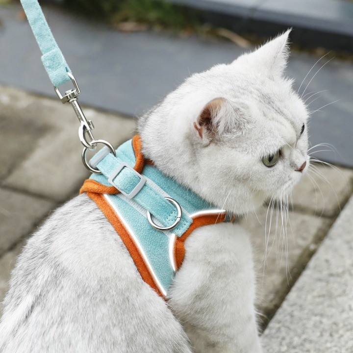 디아쿠아 고양이 강아지 야광 빛반사 벨크로 하네스 리드줄 세트 9,900원