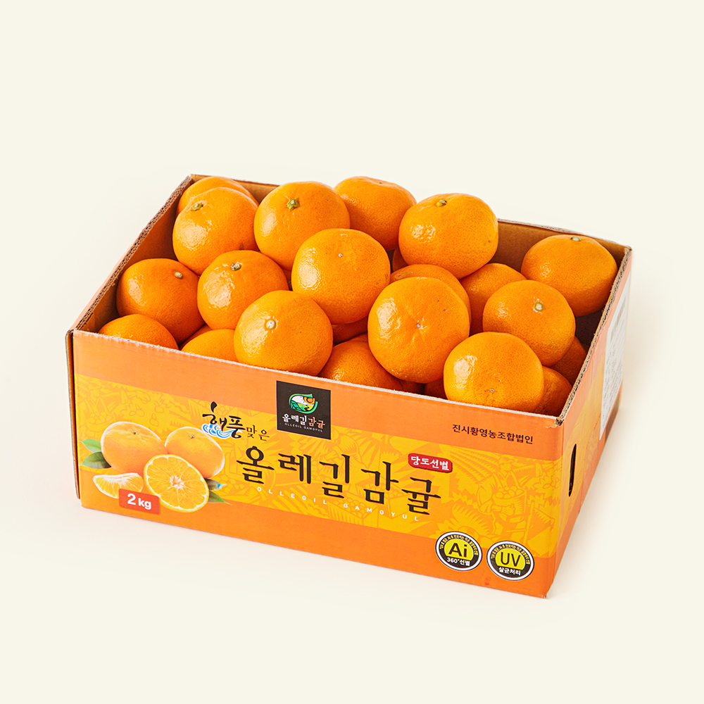 [로켓프레시] 올레길 AI 당도선별 12brix 감귤 28,990원