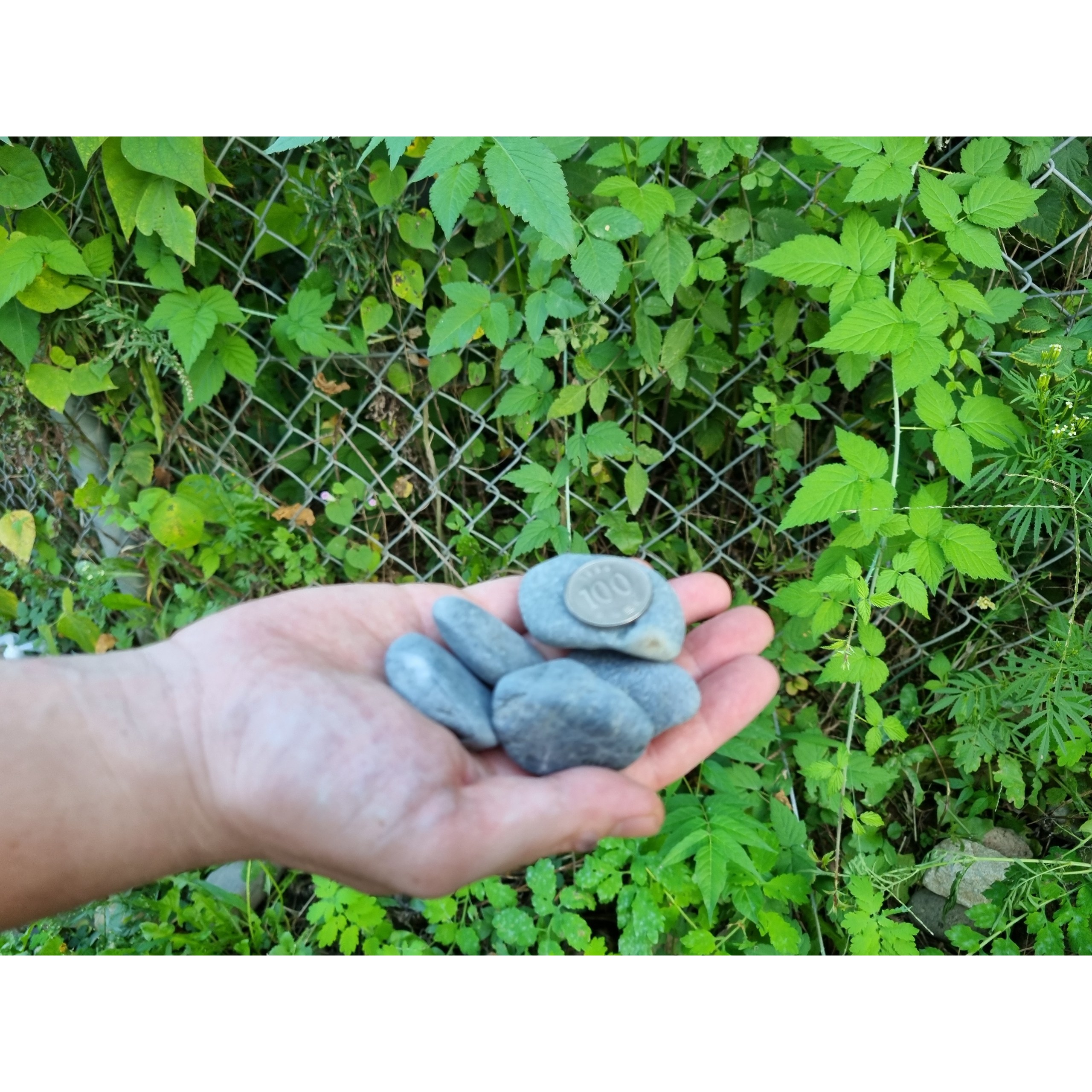 자연산 바다 자갈 자연자갈 해미석 에그스톤 백자갈 흑자갈 20kg 마당 정원 베란다 인테리어 25,000원