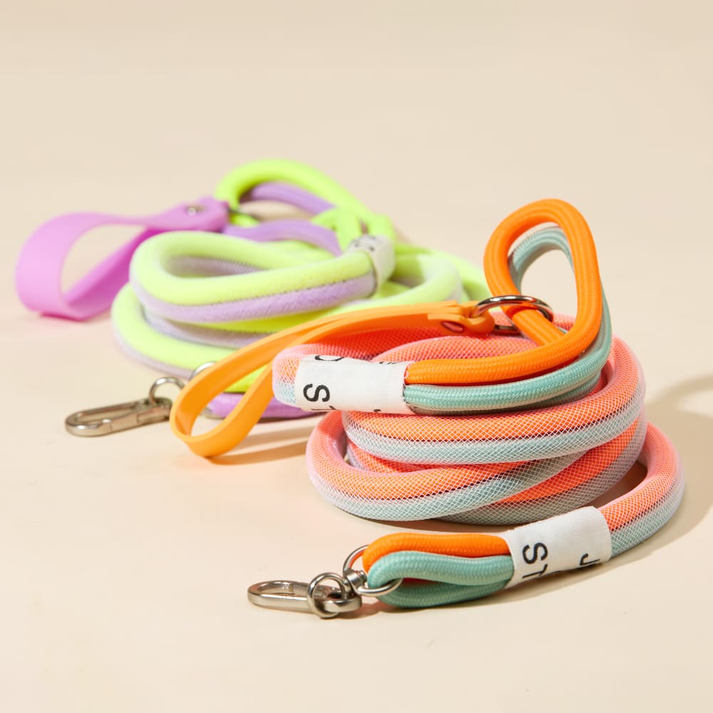 파인댕 강아지 리드줄 젤라또 리쉬 투톤 산책줄, 1개, 그린퍼플 19,780원