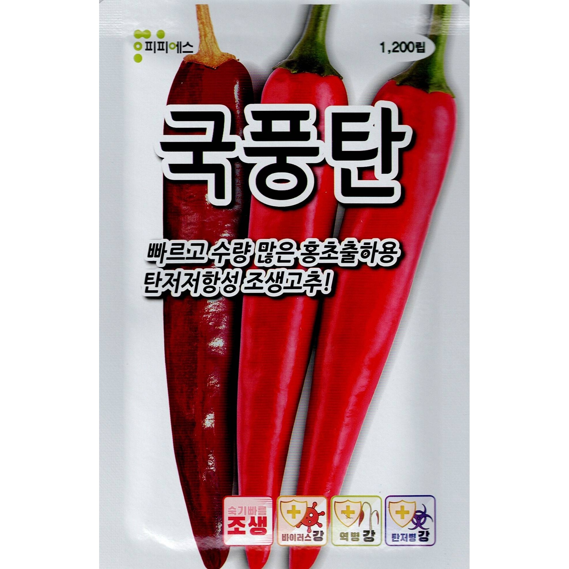국풍탄 고추씨앗 1200립 종자 복합내병계 품종 80,000원