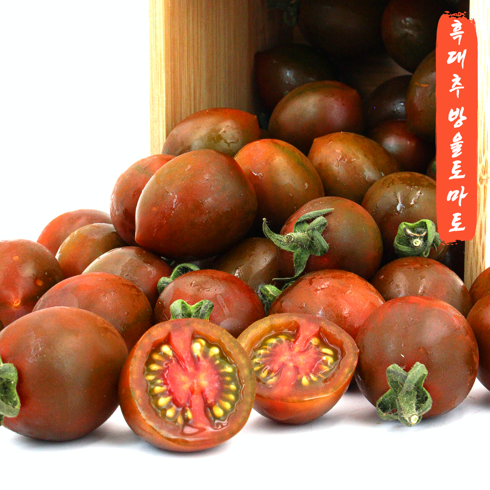 [제철봄맞이특가] 부산 대저 특산품 흑대추방울토마토 짭짤이토마토 단짠단짠 당도선별 산지직송, 1개, 500g(1-3번과) 14,900원