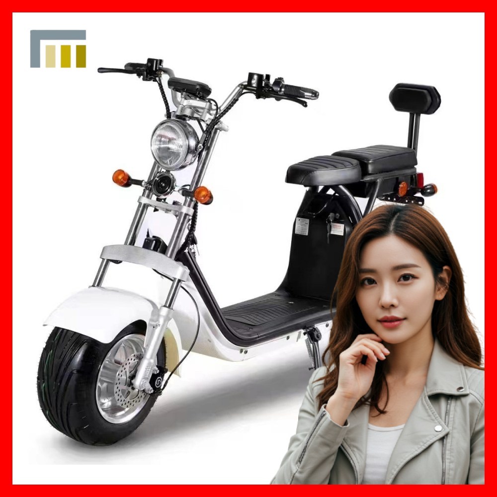 오팔린 전기스쿠터 성인용 출퇴근 전동 바이크 배터리 와이드 1,128,400원