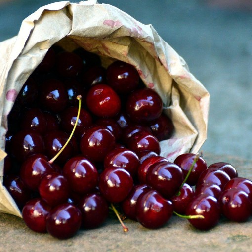 블랙체리사케 20ml 양키타입 국내산 프래그런스 오일 캔들 디퓨저 석고방향제 리필 만들기 4,900원