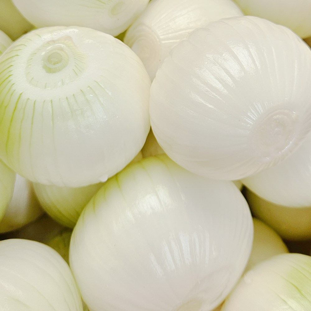 국내산 조생종 햇양파 깐양파 아삭아삭 달달한 양파 소량 진공포장 업소용 가정용 16,190원