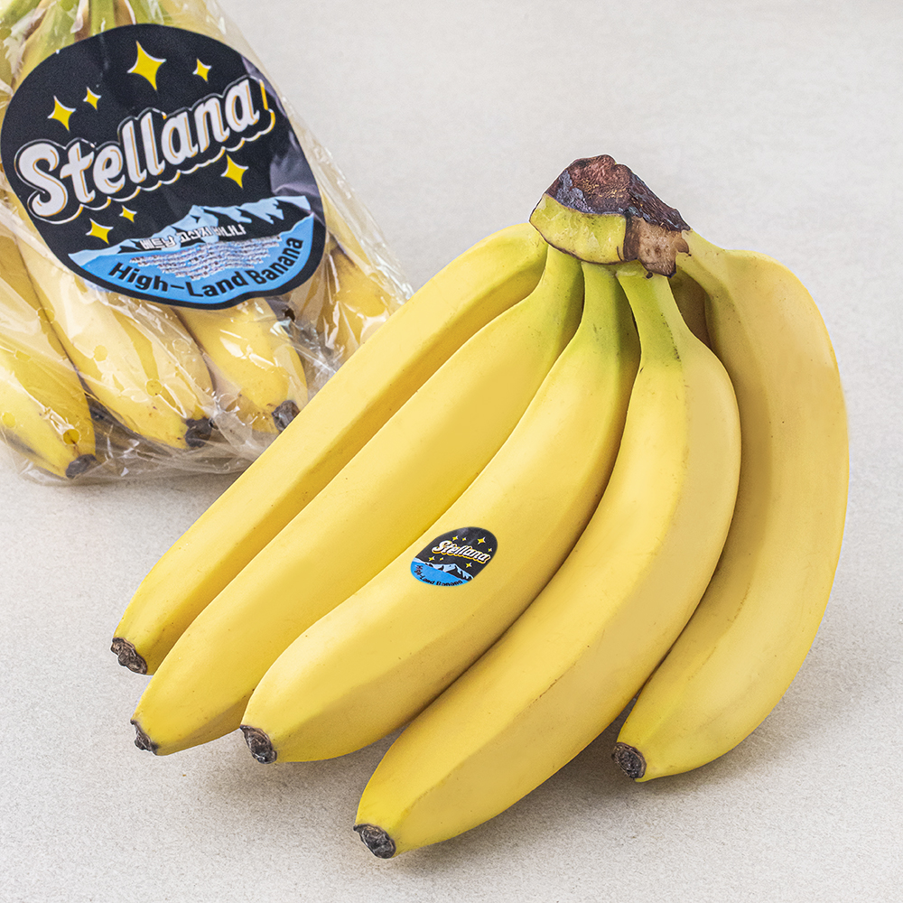 [로켓프레시] 스텔라나 베트남산 바나나 3,380원