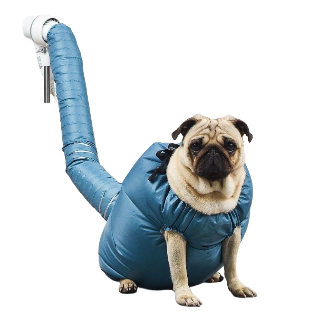 나있고 강아지 드라이 자켓 털말리는 옷, 1개, 블루 9,900원