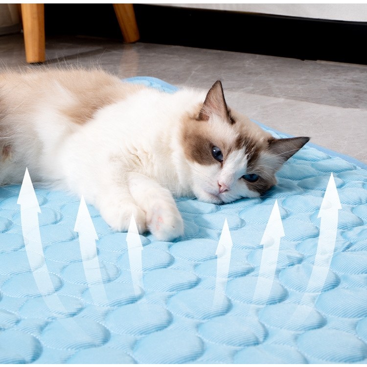 유티즌 강아지 고양이 쿨매트+젤쿨패드 방석 세탁가능 냉감매트 22,000원