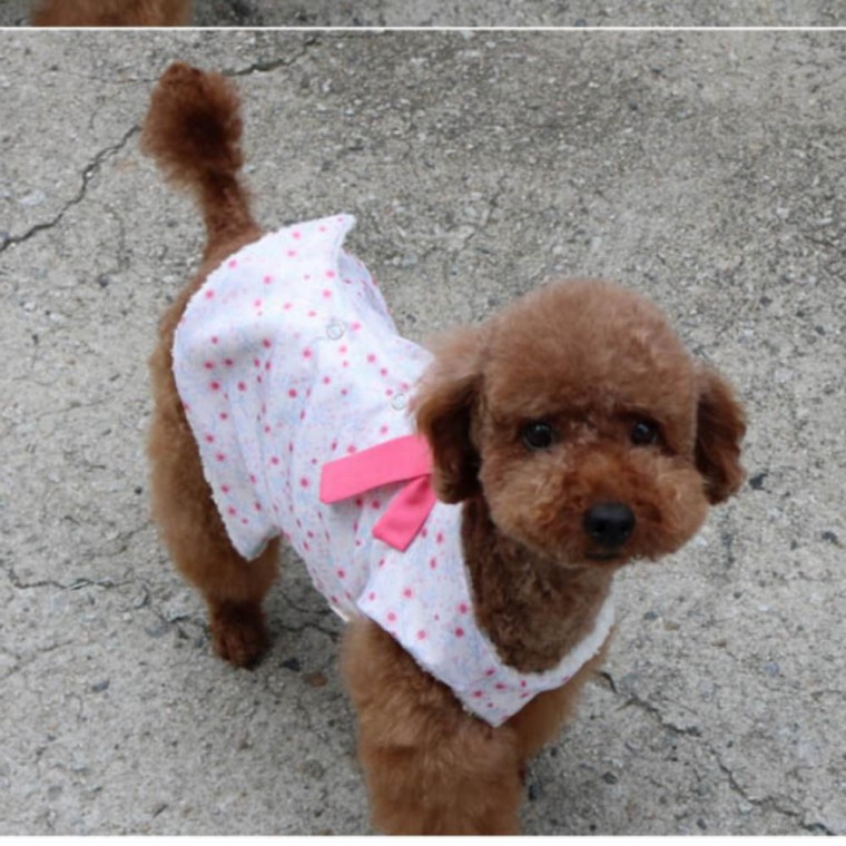 2XL 핑크 저고리 매듭 1P 강아지한복 플라워 배자 명절, 1개, 상세페이지 참조 81,240원