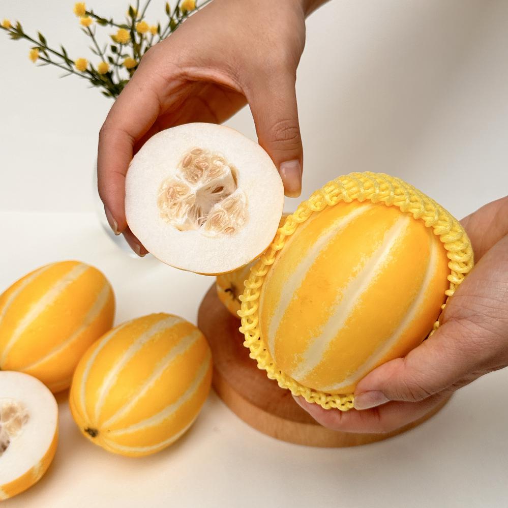 고당도 성주참외 꿀참외 가정용 5kg 제철과일 49,200원