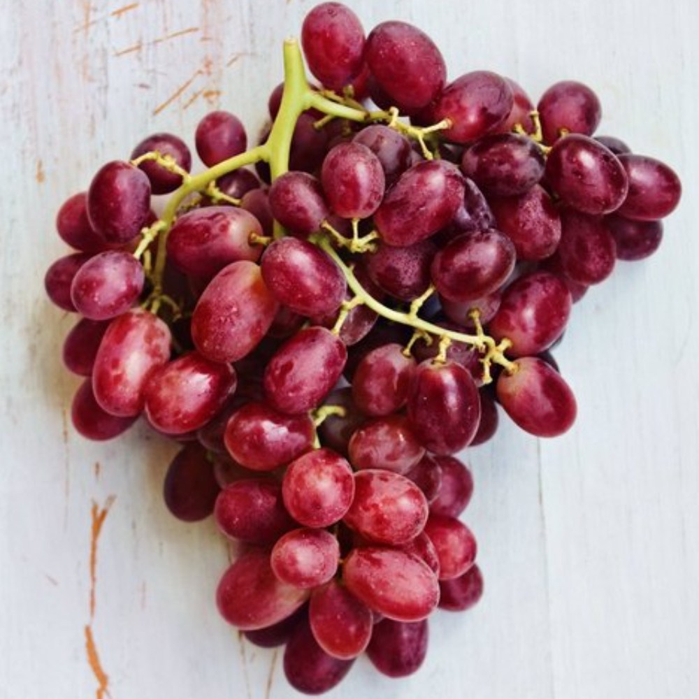 청담농수산 고당도 크림슨포도 적포도 37,800원