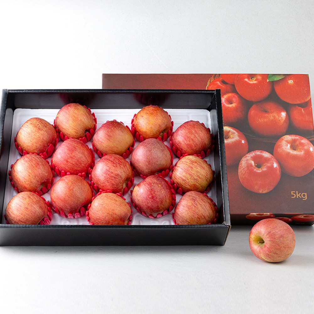 레브 농협 고당도 명품 안동 사과 특상품 선물세트 설 명절, 1세트, 사과선물세트 5kg 특대과(특상품) 9-12과 99,800원