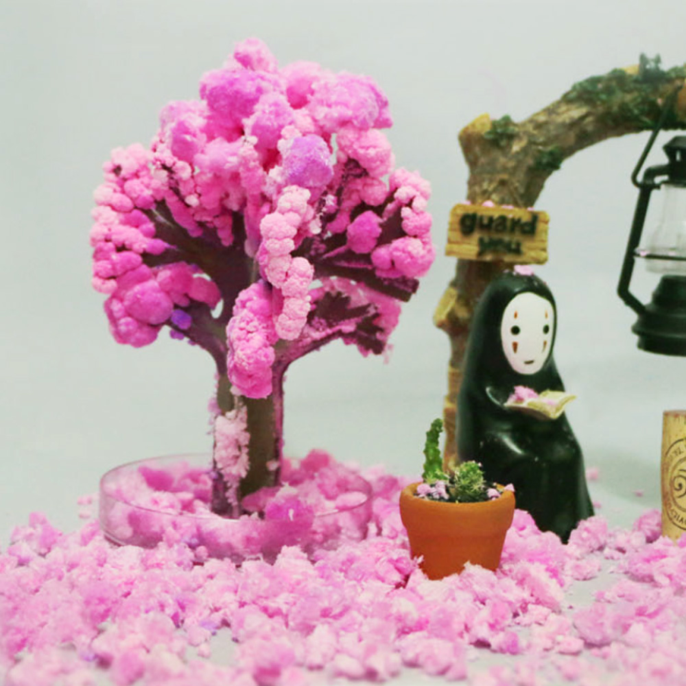 매직사쿠라 벚꽃 나무 키우기 DIY 키트, 1개 9,900원