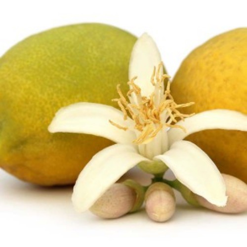 에센셜오일 [대용량 EO 벌크] 네롤리 (Neroli Essential Oil) 120,000원