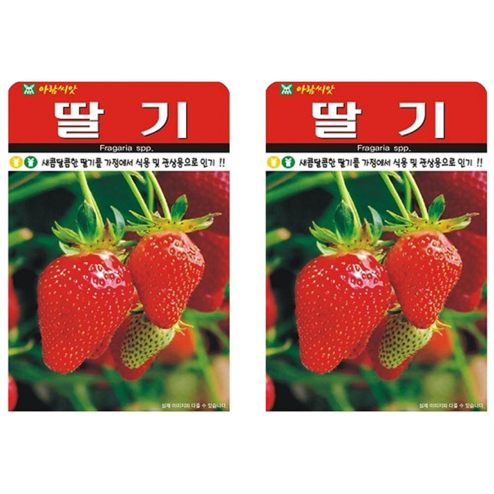 딸기 씨앗 (합 200립) 텃밭 가정재배 교육용 딸기씨, 2개 9,960원