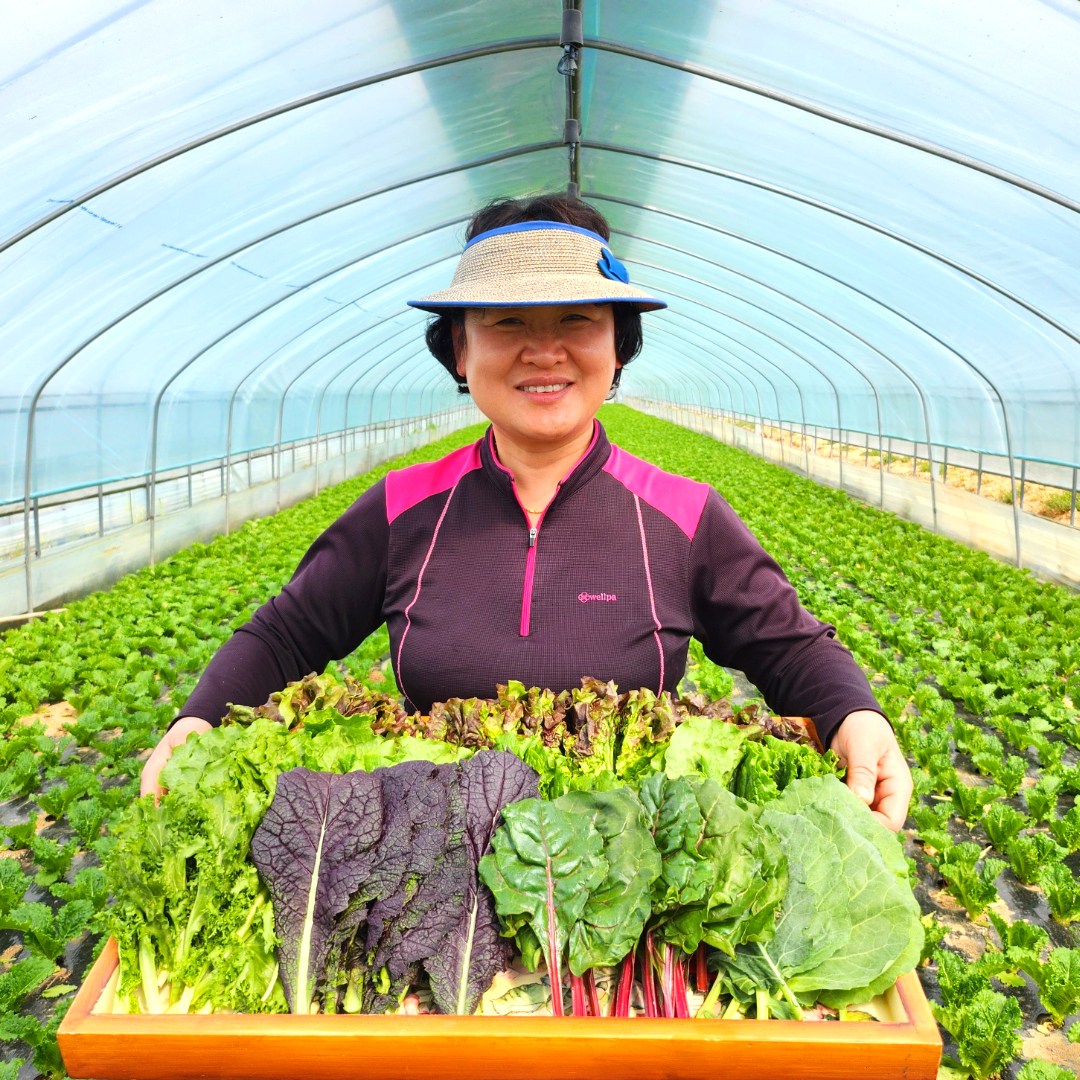 [무농약]쌈채소 당일수확 모듬쌈 친환경 샐러드 1kg 14,870원