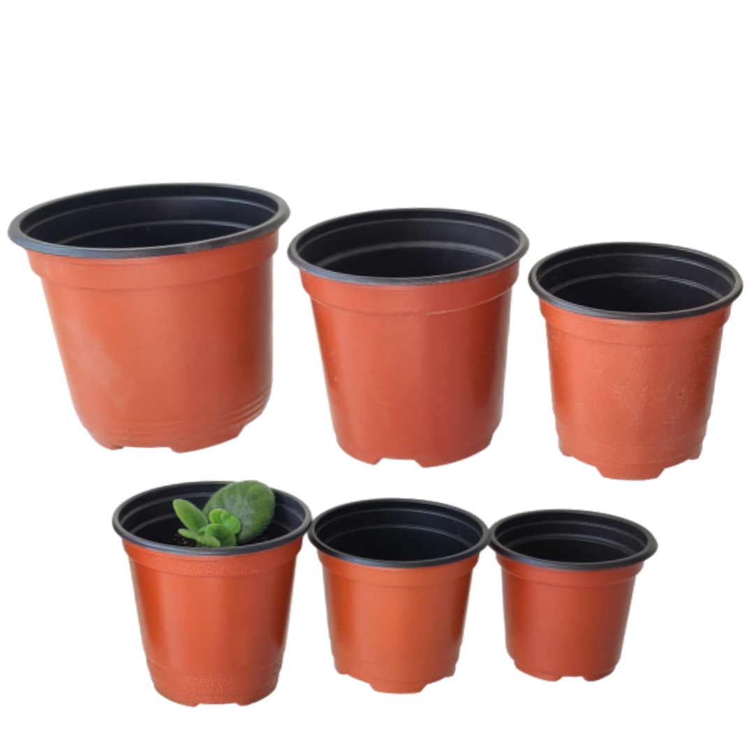 <국내생산 여기서> 이색포트 낱개 1개 이색화분 연질화분 모종화분 7cm 8cm 9cm 10cm 11cm 12cm 13cm 60원