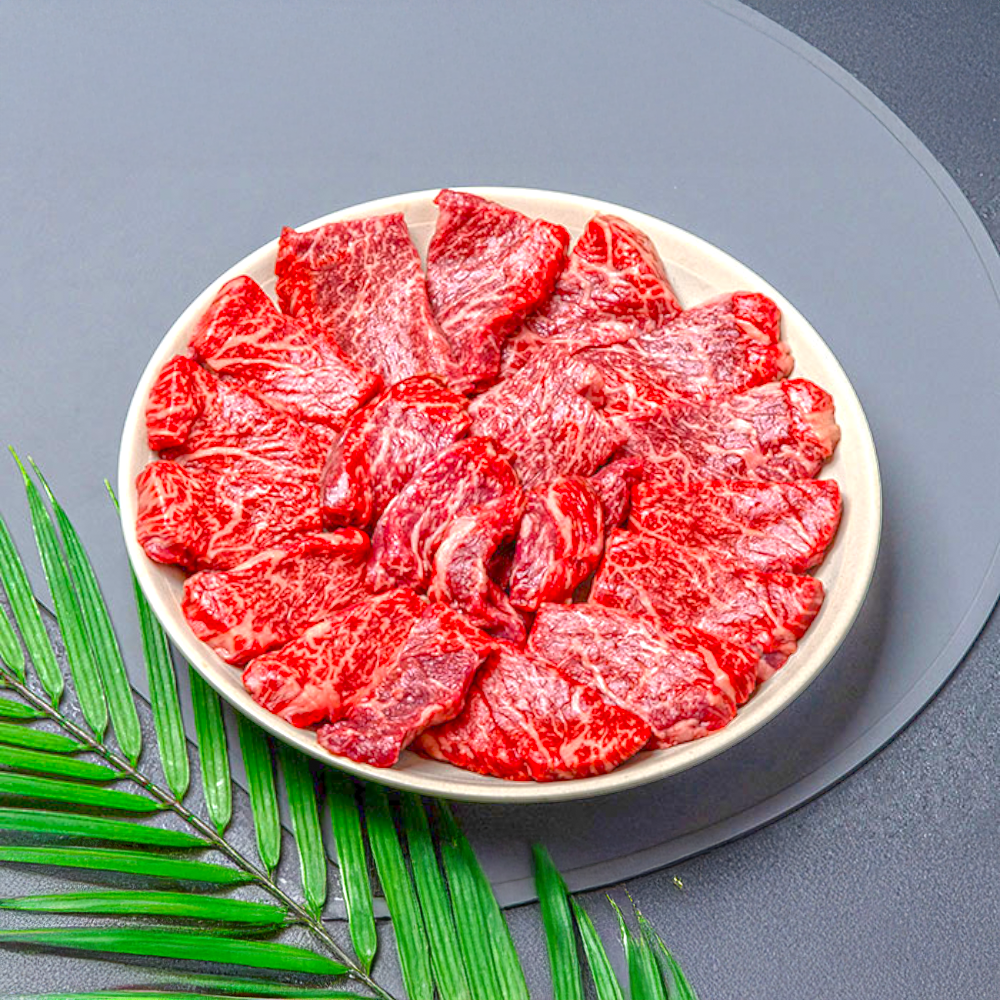 국내산 투뿔한우 치마살 1++등급 소고기 구이용 캠핑 고기 정육 직배송 선물세트, 600g, 1개 123,900원