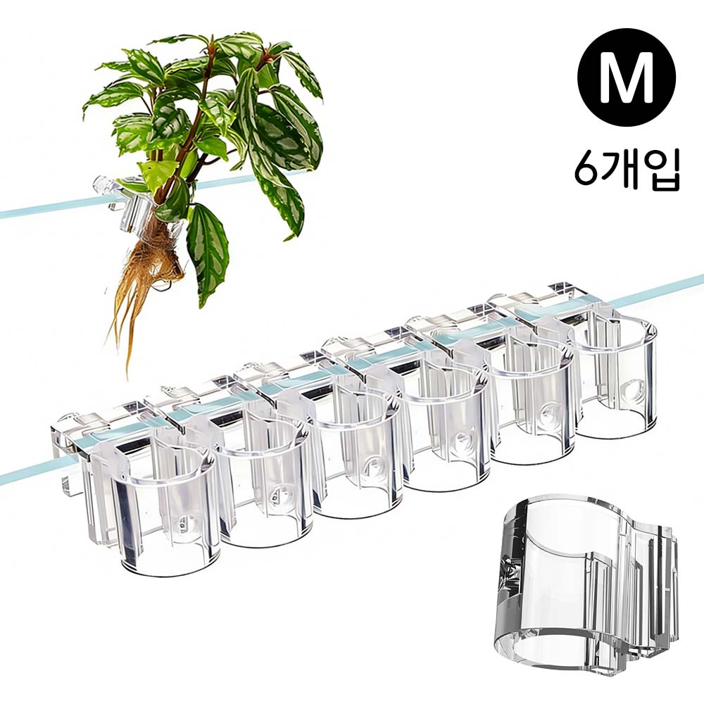 루베이 벽걸이 수경 재배 투명 거치대 시야를 가리지 않고 어항 풍경 만들기 수초/화분/재배, 투명색 6개 16,900원