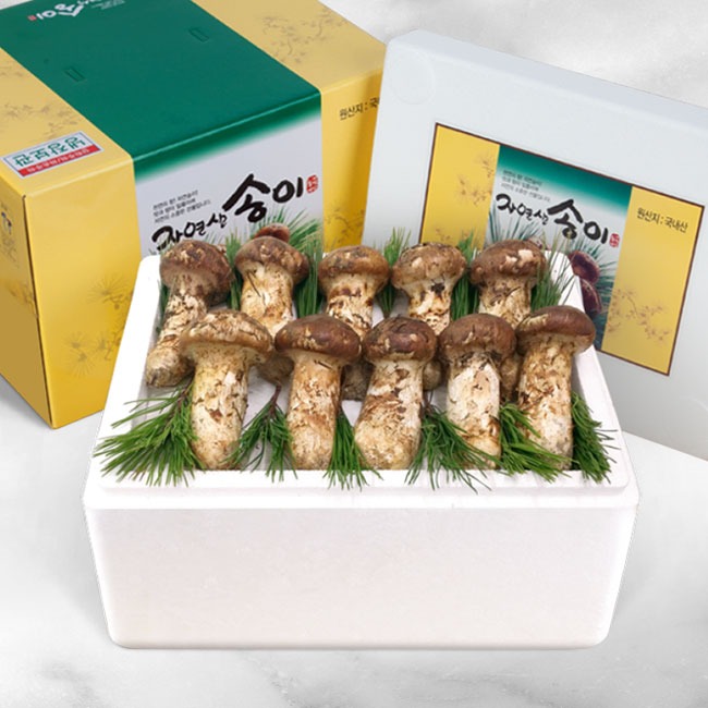 소중한만큼 고마운선물 강원 양양 자연산 송이 버섯 449,000원