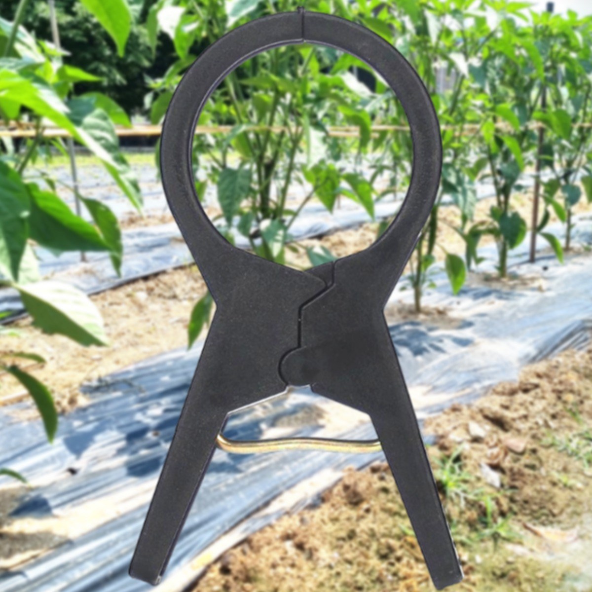 농사용 작물 집게 30mm 오이집게 고추 호박 가지 유인 비닐하우스 5호, 50개 6,650원