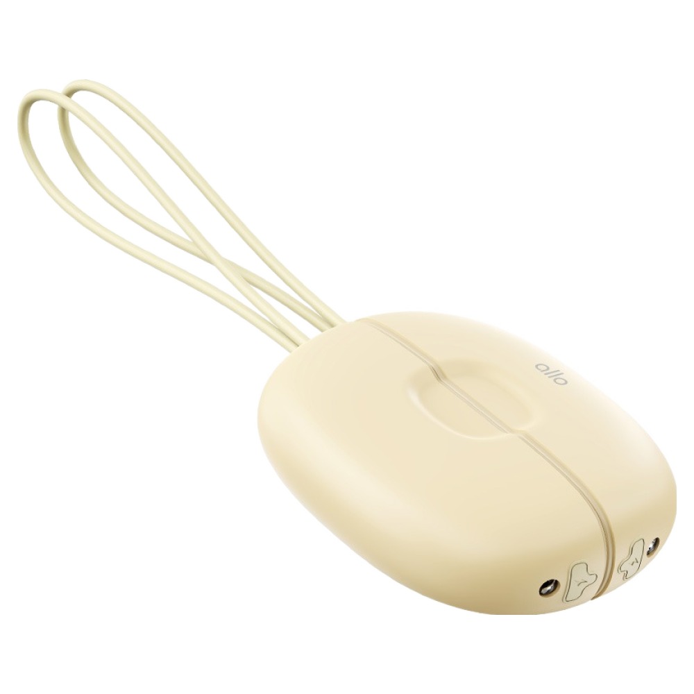 알로코리아 휴대용 전기 전자 핫팩 보조배터리 듀얼 충전식 손난로 34,300원