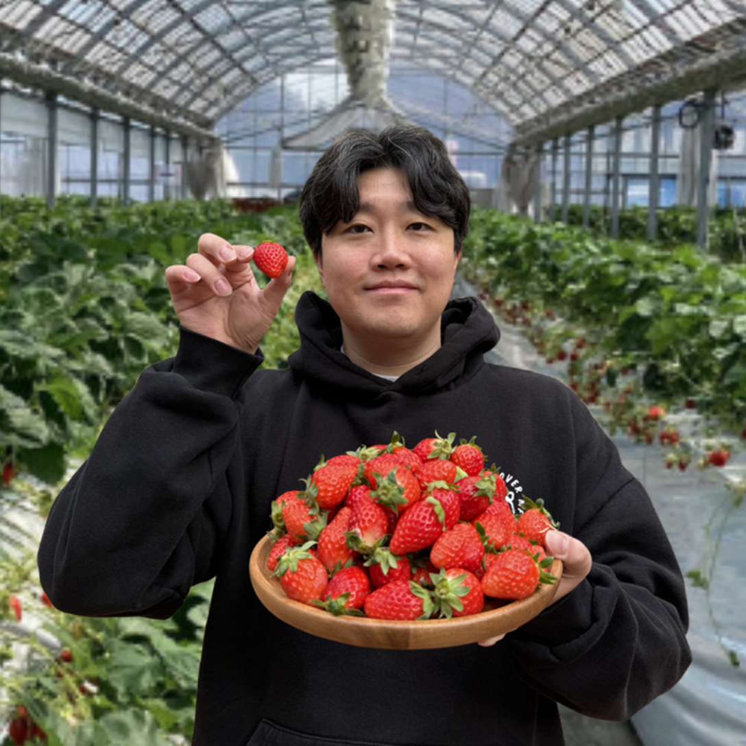 [상위1% 농가직송] 고당도 장희딸기 36,800원