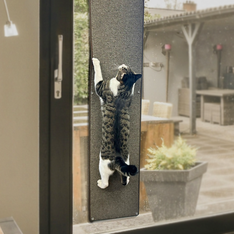 파파냥 고양이 논슬립 부착 스크래쳐 유리오름 카페트 35,000원