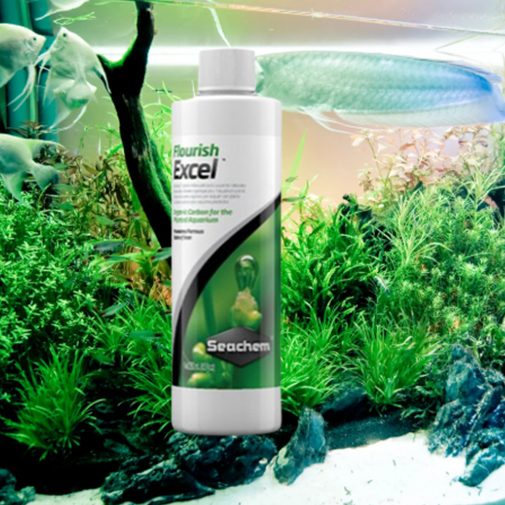 붓이끼 제거 어항 녹조 이끼 실이끼 제거 제거제 250ml 17,900원