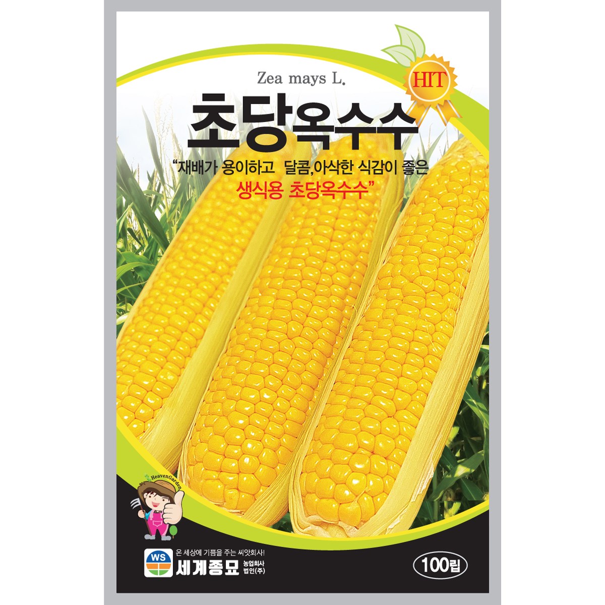 세계종묘 초당옥수수 씨앗 100립, 1개 6,890원