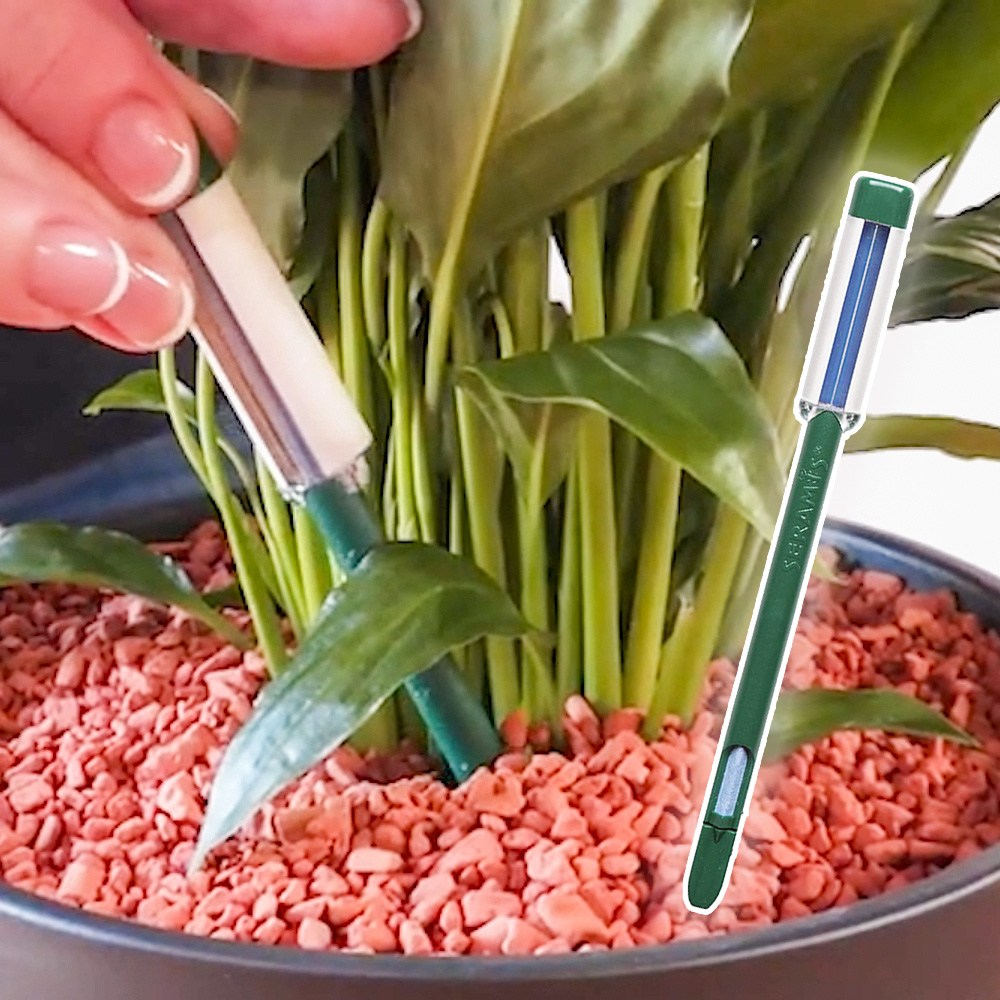 세경팜 독일산 세라미스 전용 수분측정기, 1개 6,300원