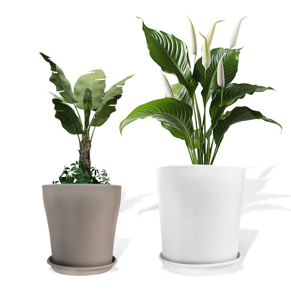 거목산업사 원형 플라스틱 화분 24호 화이트 모카베이지 고운웨이브 화분받침 세트 10,490원