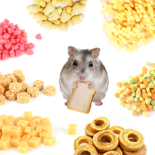 에밀리펫 햄스터간식, 마루칸 햄스터간식 8종 셋트,기호도테스트용 간식 5,800원