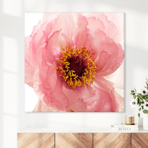 행운을 부르는 모란꽃그림13종 풍수 금실 금전수액자 꽃그림 풍수 그림액자 현관 거실 액자 9,900원