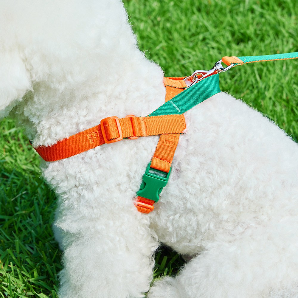 펫쉴드 핸즈프리 강아지 하네스 세트 (크로스백+하네스+리드줄) 29,500원