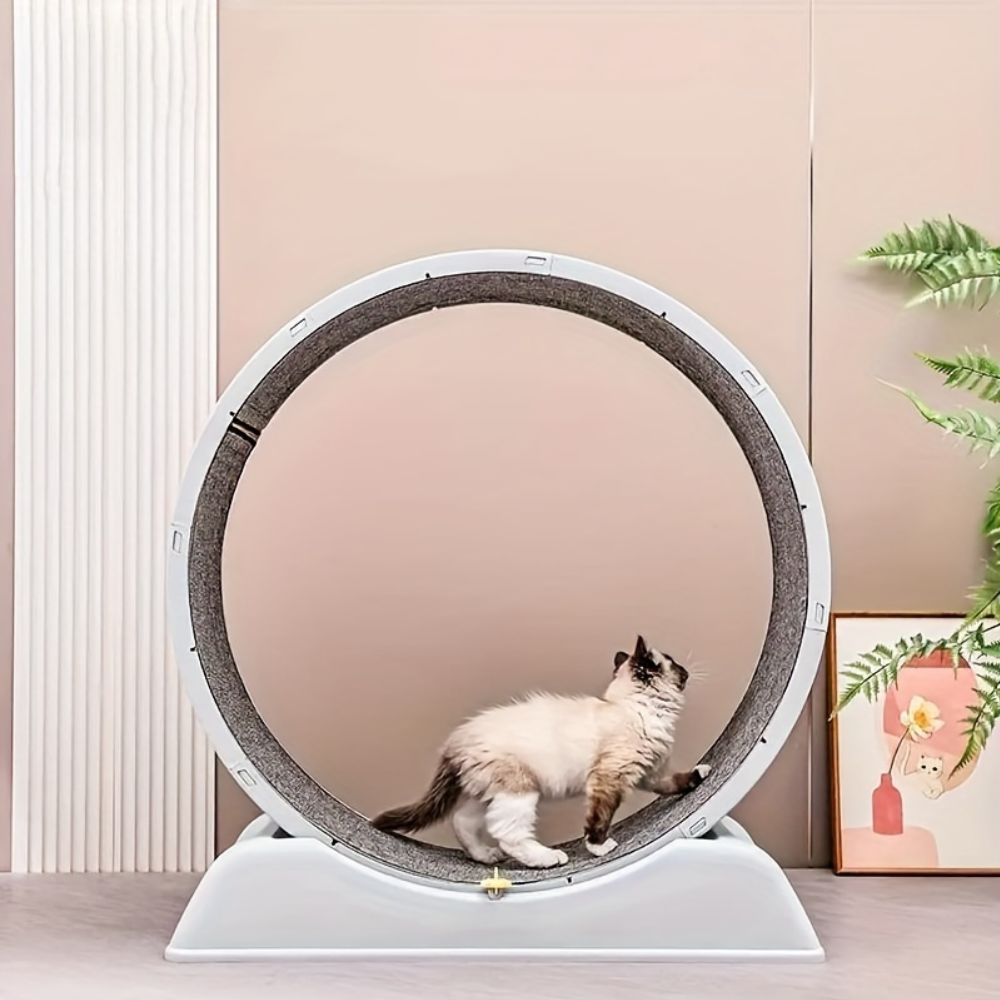 PEBBI 고양이 저소음 실내 운동 채력 강화 캣휠, 1개, 그레이 120,000원