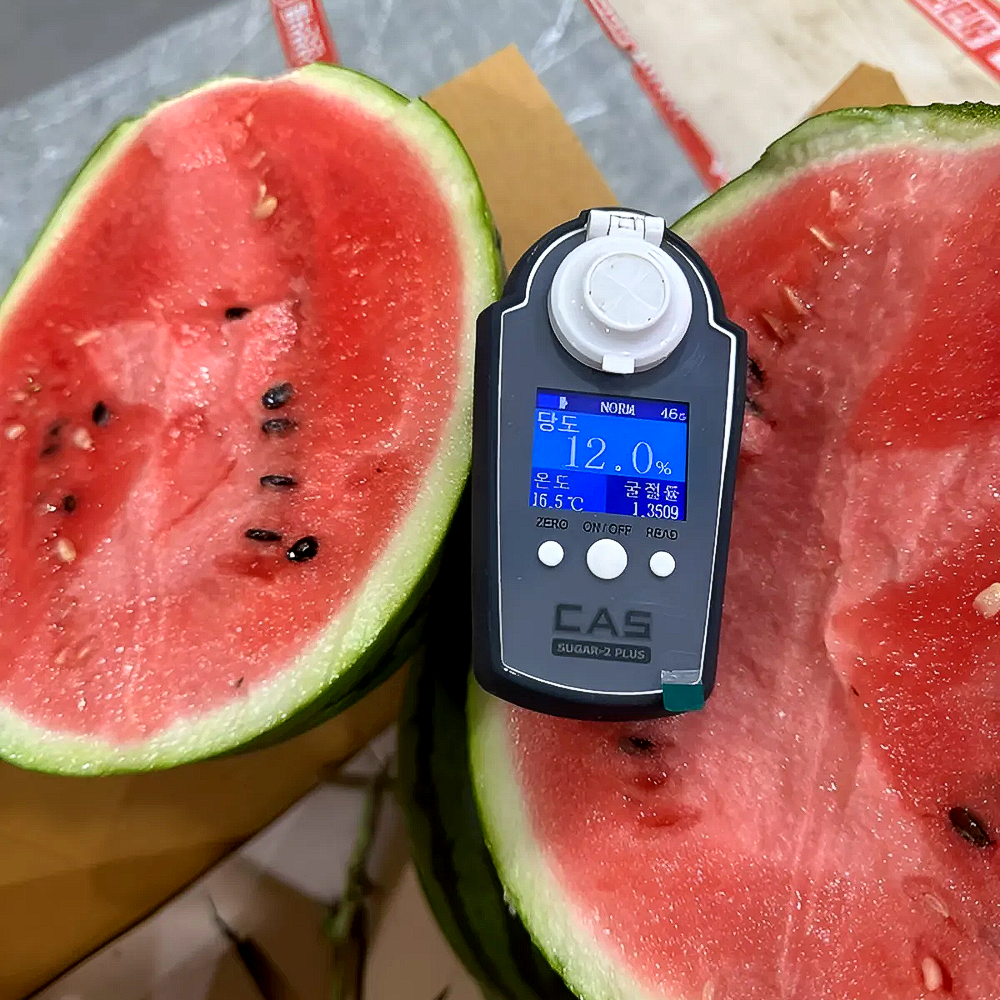 당도선별 고당도 하우스 겨울 수박 20,500원