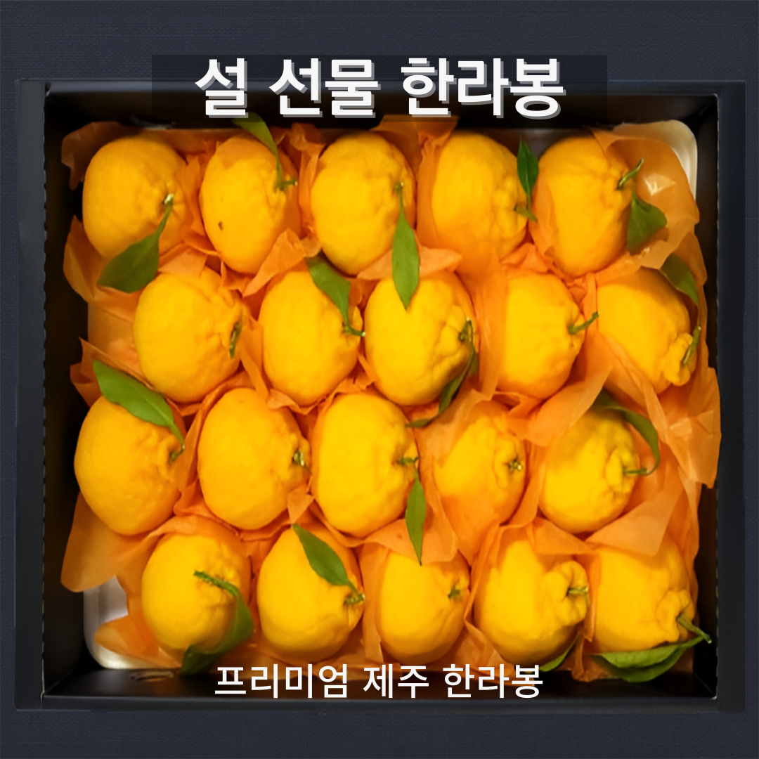 [리뷰만족도1위] 프리미엄 최상품 제주 햇 한라봉 선물세트 20,800원