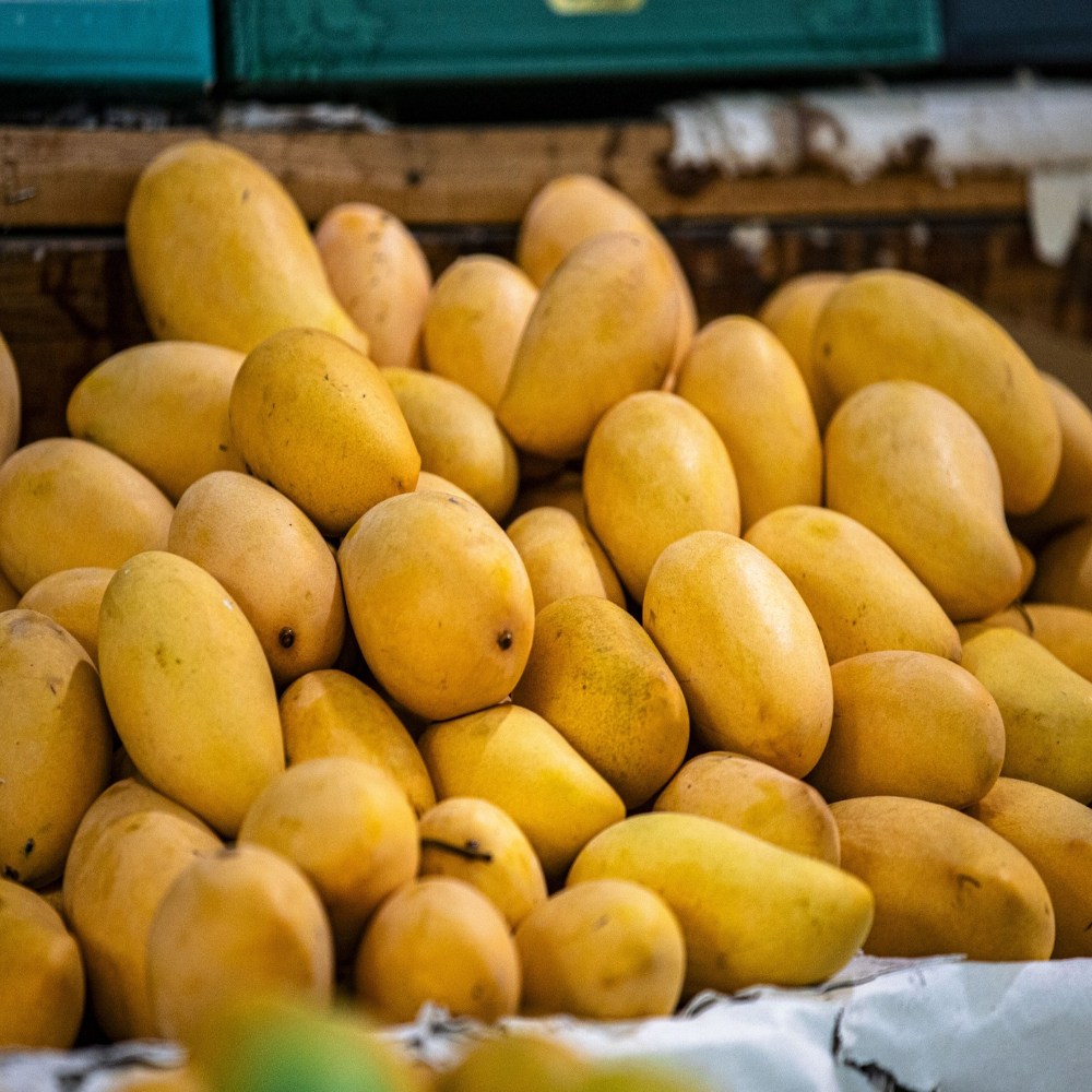 금메달농수산 프리미엄 태국 골드망고 23,900원