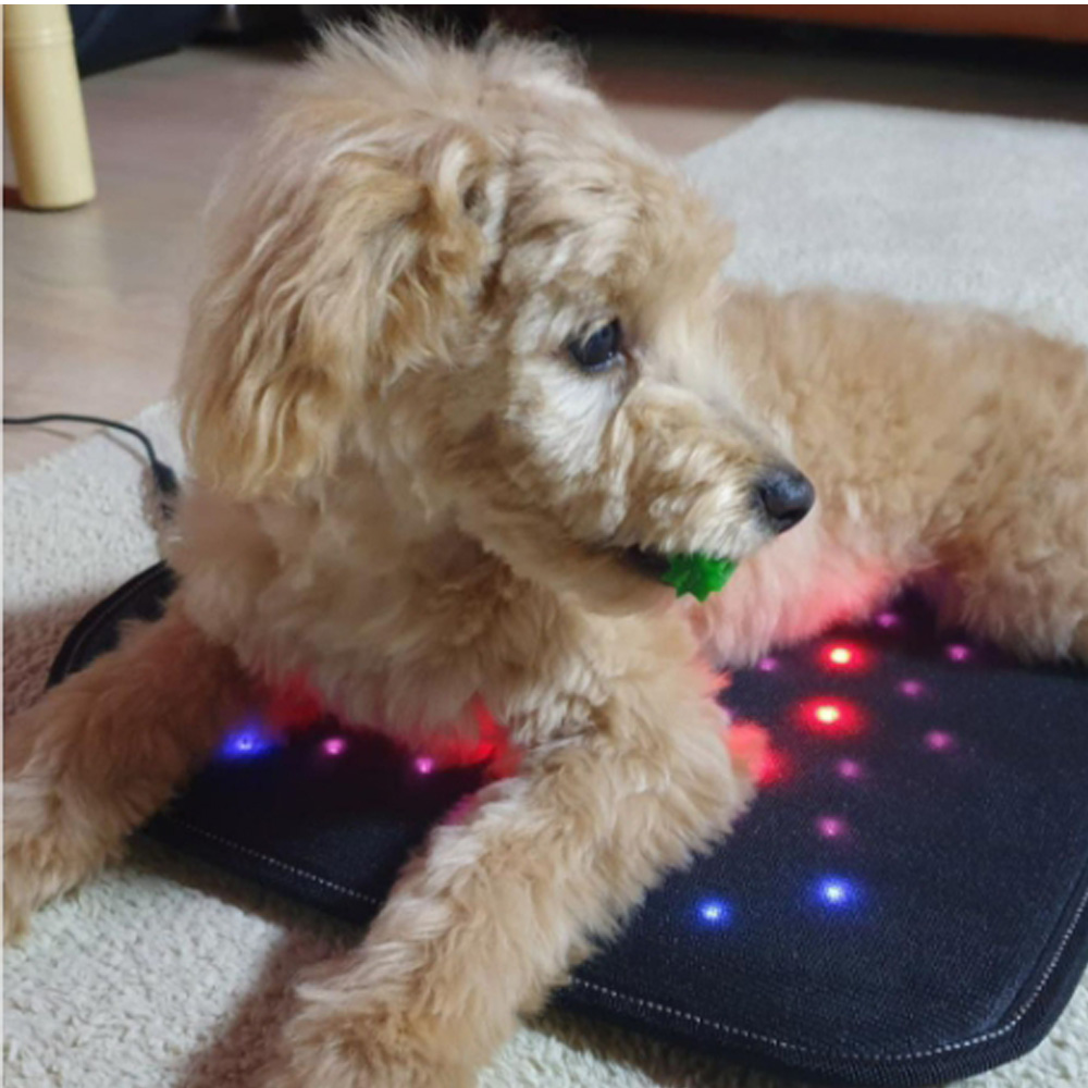 근적외선 그래핀 방석 강아지 고양이 쿠션 슬개골 보온 온열유지 혈액순환 관절통증 완화 심장 피부병 호흡기예방 진드기 빈대 차단 209,000원