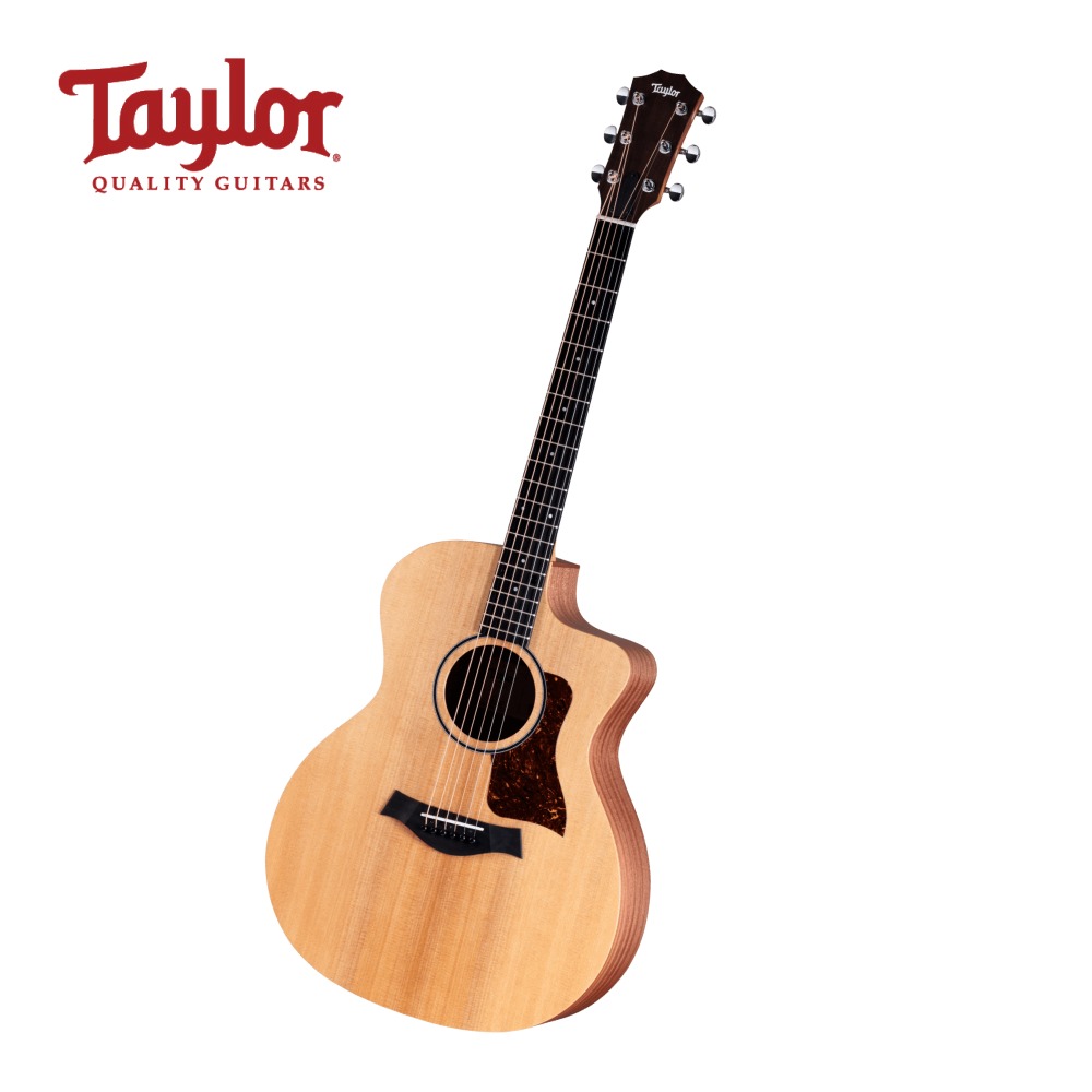 Taylor 테일러 14ce 어쿠스틱 기타 980,000원