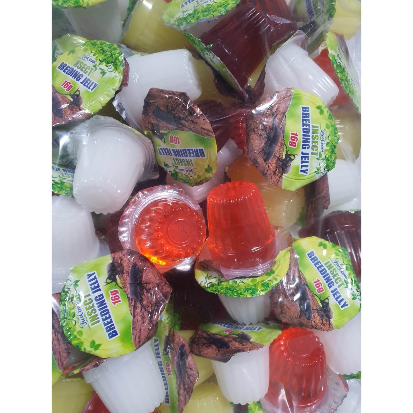 아마존 곤충 젤리 20개 50개 100개 2,000원