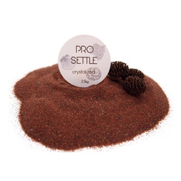 프로 세틀 바닥재 [크리스탈 레드] 1kg 4,000원