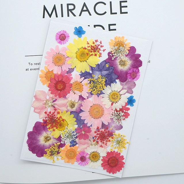 압화 드라이플라워 A형 세트 누름꽃 공예 편지 만들기 다꾸용품 액자꾸미기 7,700원