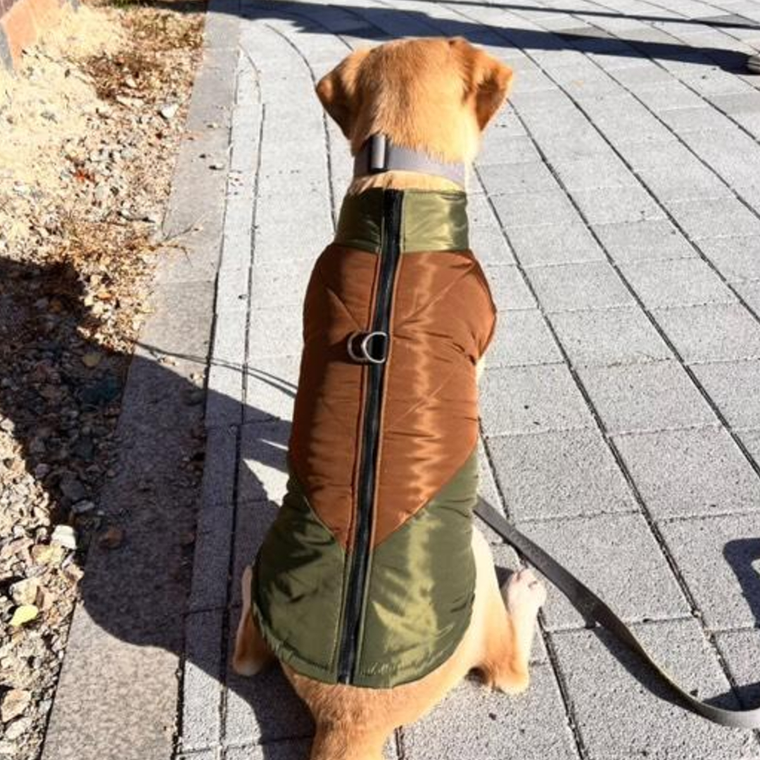 MAAH 강아지 중대형견 레브라도 하네스 패딩 조끼, 카키, 1개 20,600원