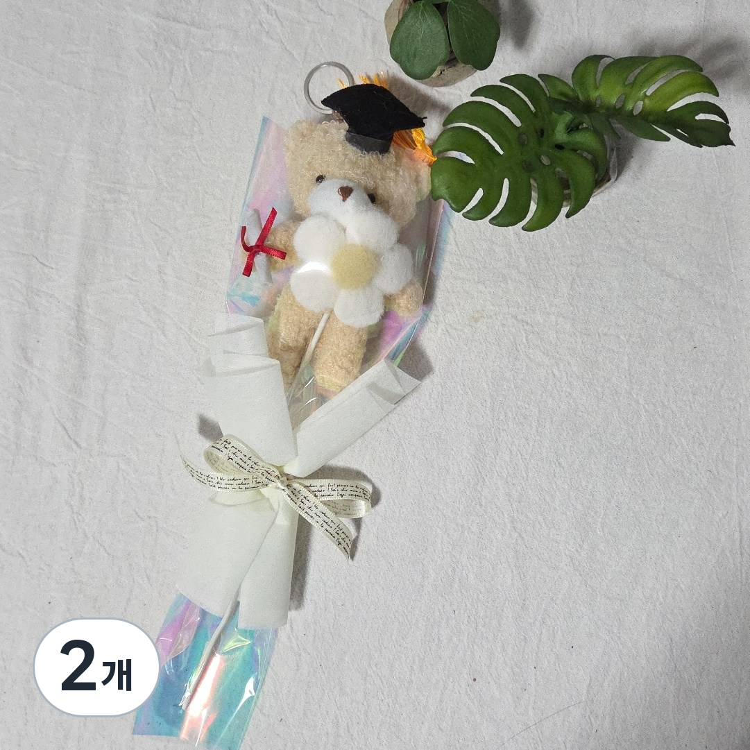 학사모곰인형꽃다발 인형키링 졸업꽃다발 한송이 단체꽃다발, 2개, 학사모인형 15,650원