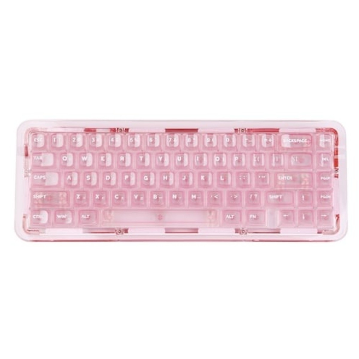 몬스타기어 아쿠아67 유무선 기계식 (핑크) 176,000원