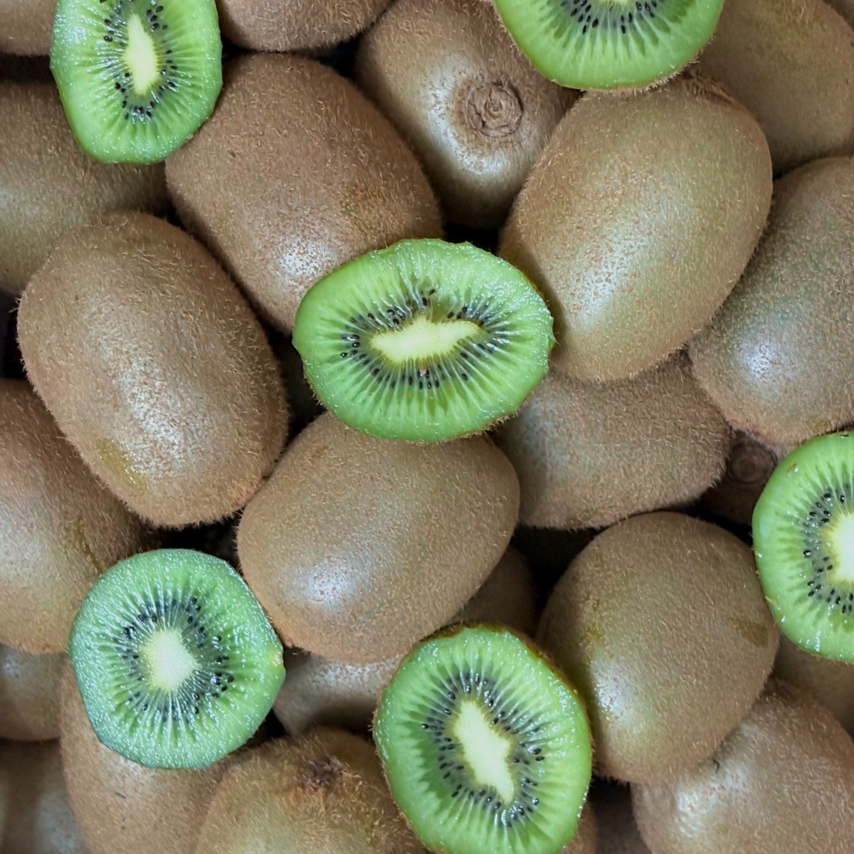 <가람> 제주산 신선한 그린키위/새콤달콤 참다래/프리미엄, 1박스, 3kg 소과 15,100원